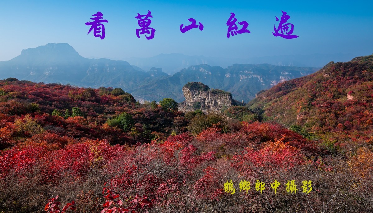 看万山红遍