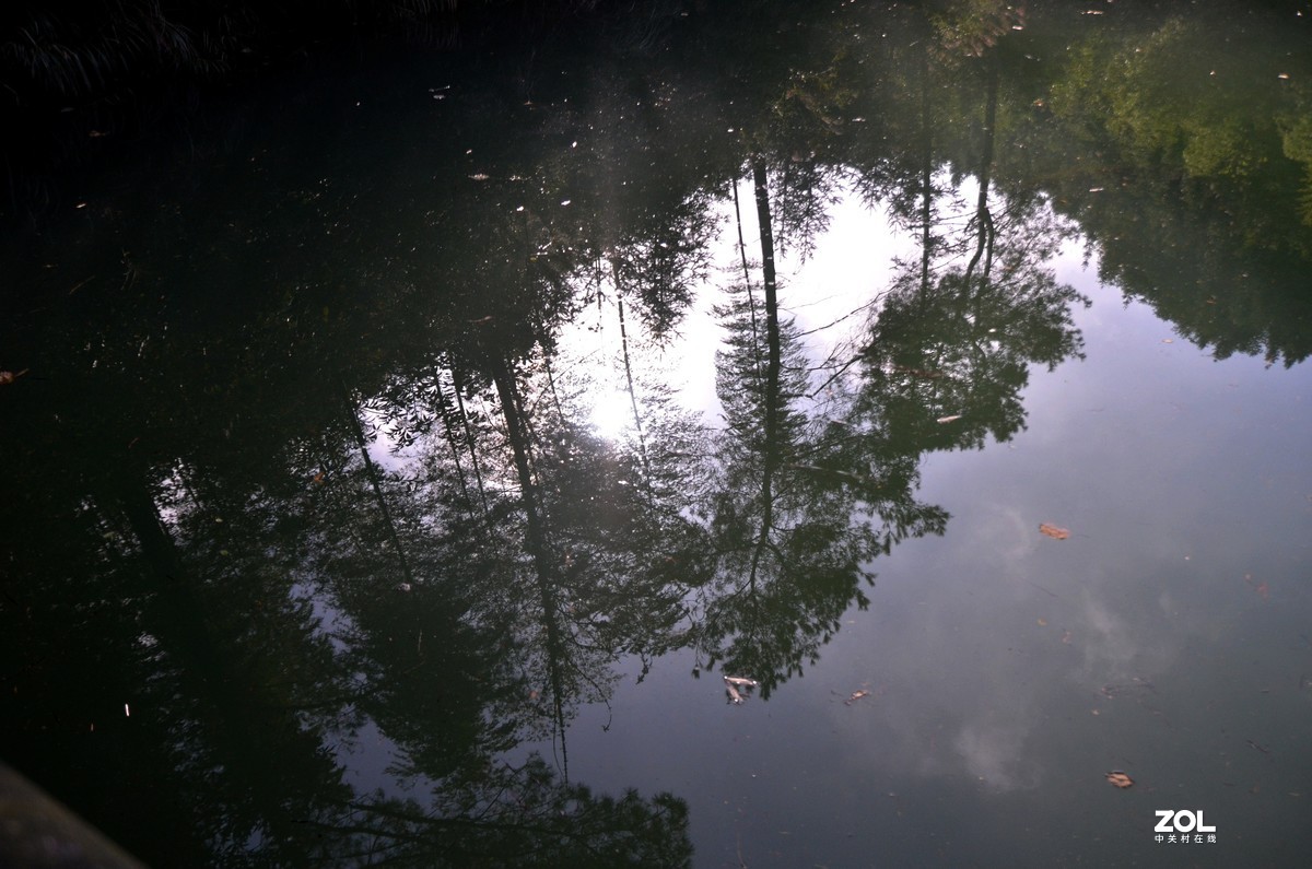 茶山竹海  带子山秋色