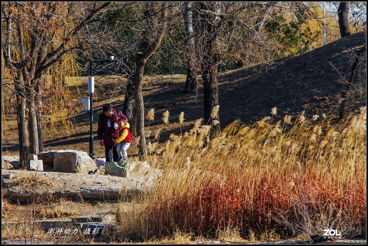 2020即将过去的圆明园之冬