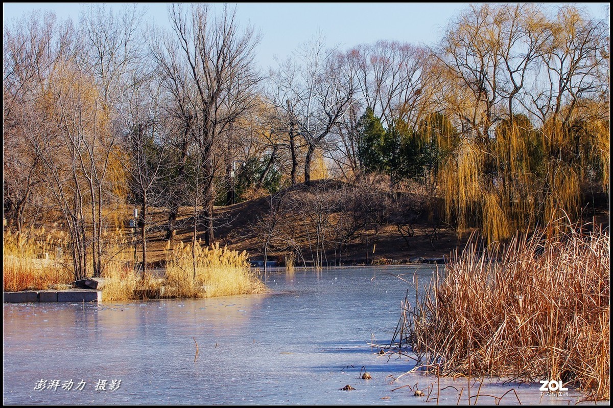 2020即将过去的圆明园之冬
