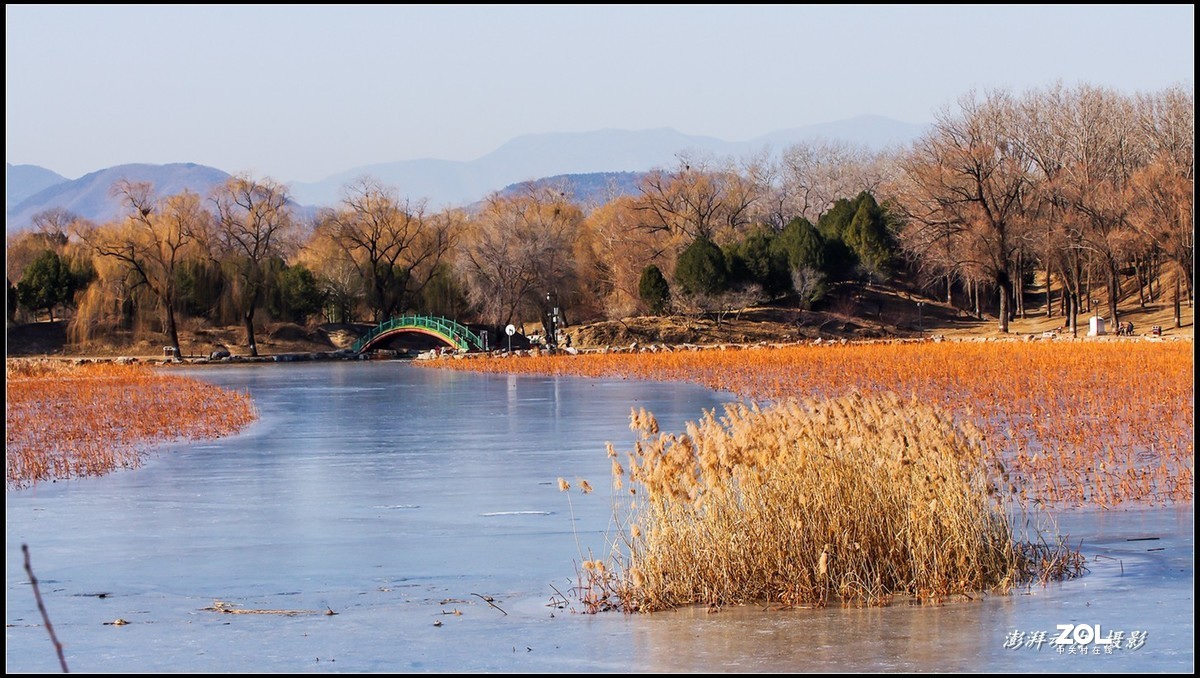 2020即将过去的圆明园之冬