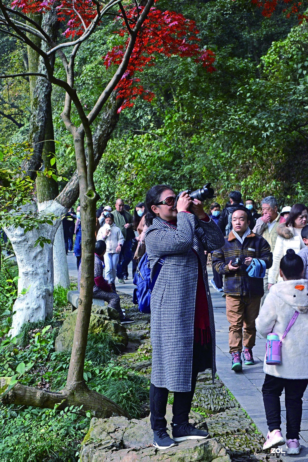 勿以善小而不为 而不说