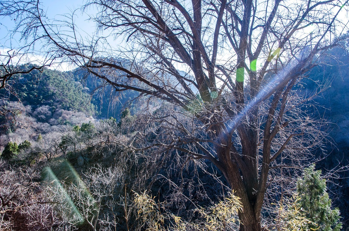泰山玉泉寺游拍（四）