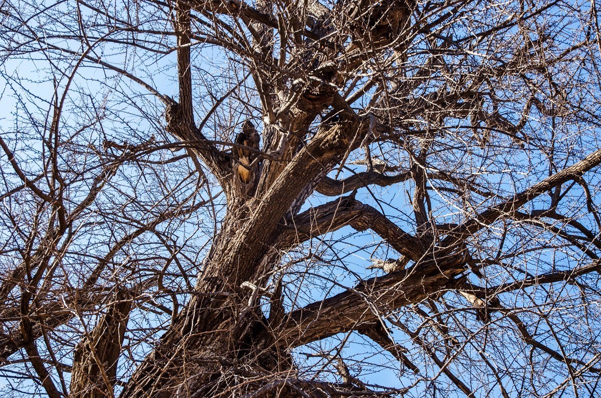 泰山玉泉寺游拍（四）