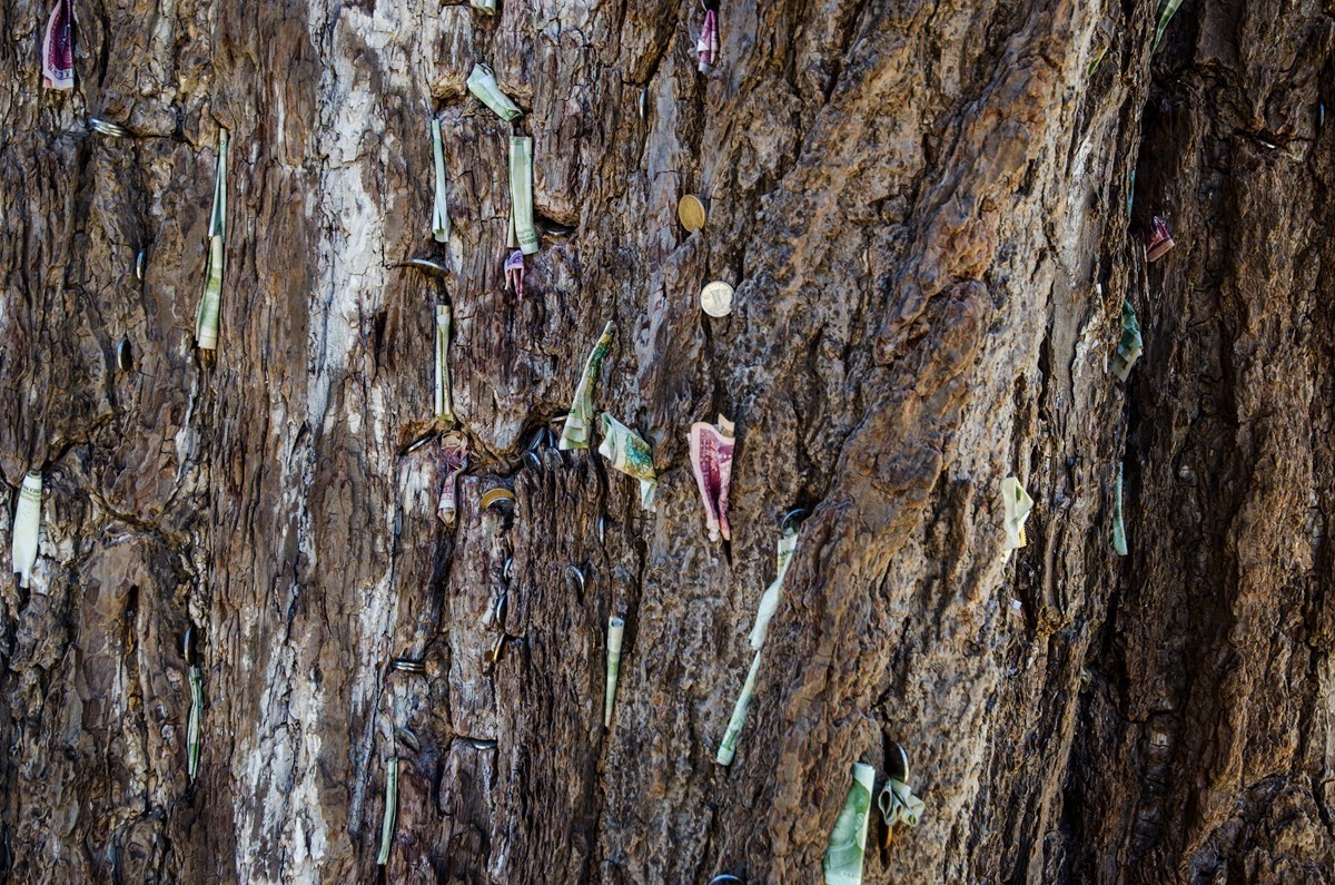 泰山玉泉寺游拍（四）