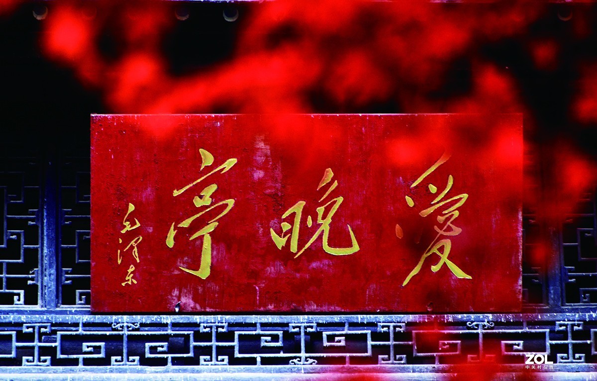 勿以善小而不为 而不说