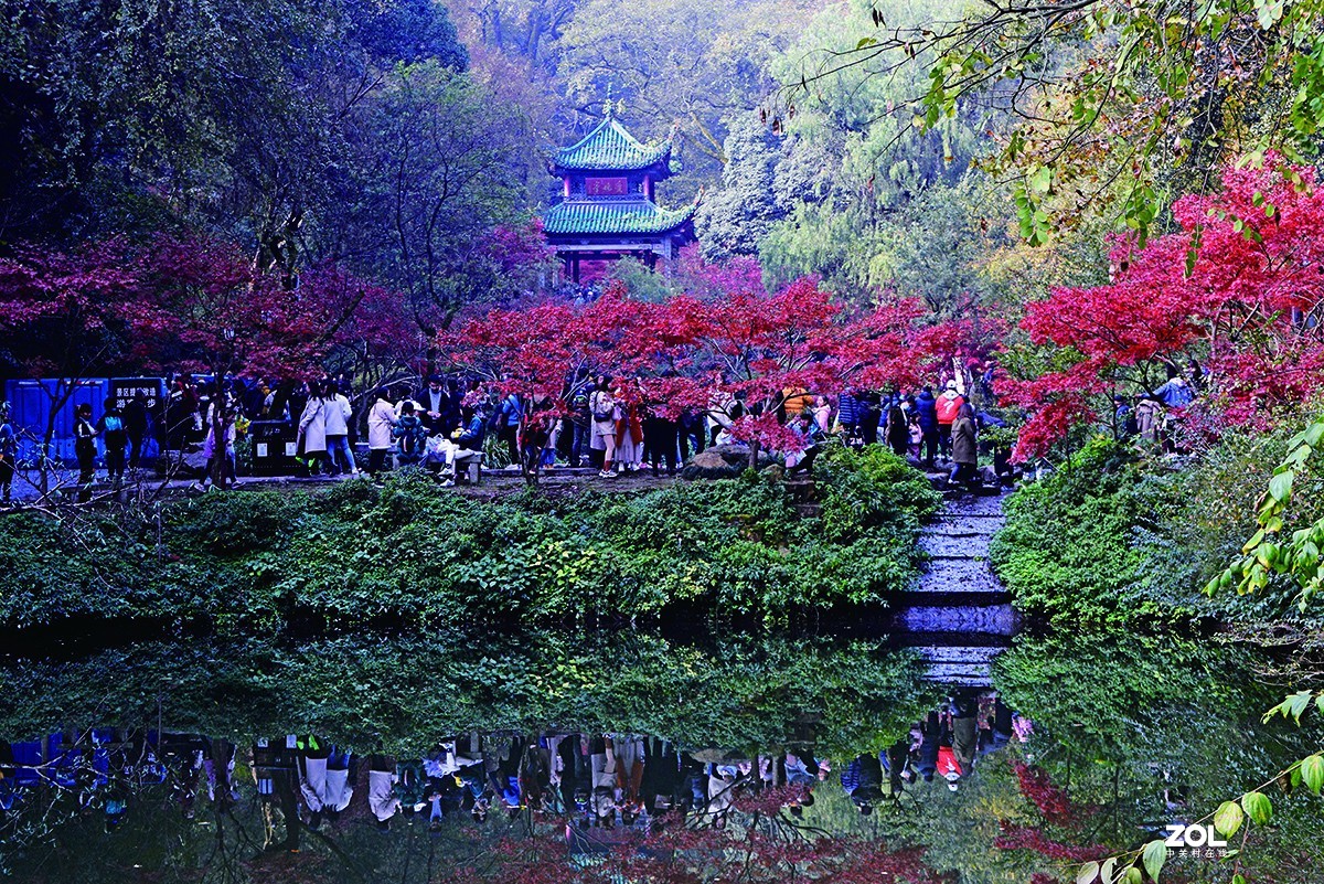 勿以善小而不为 而不说