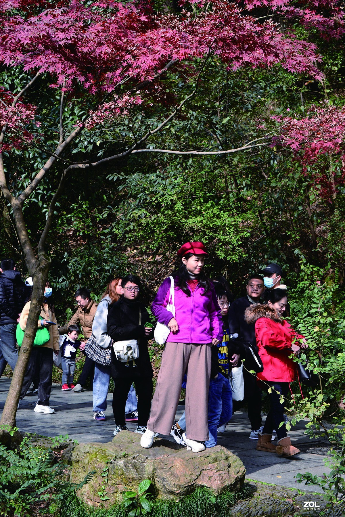 勿以善小而不为 而不说