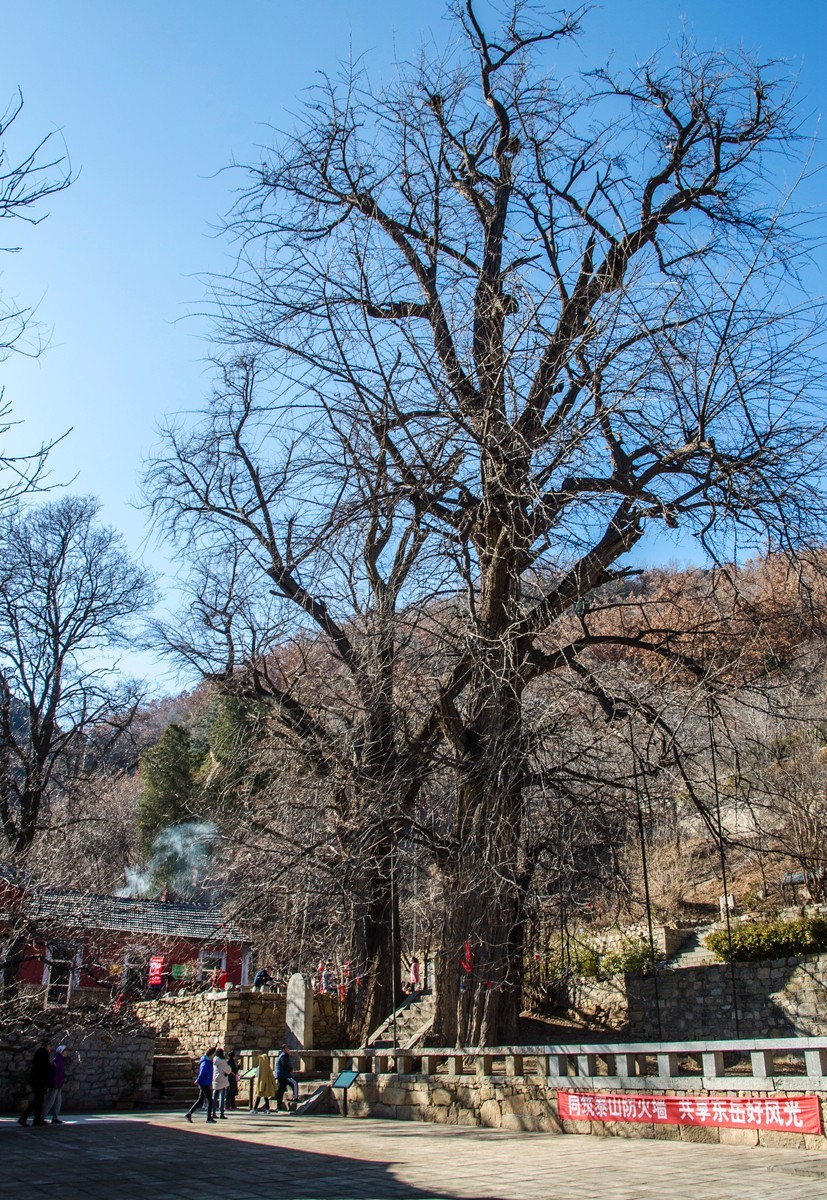 泰山玉泉寺游拍（四）
