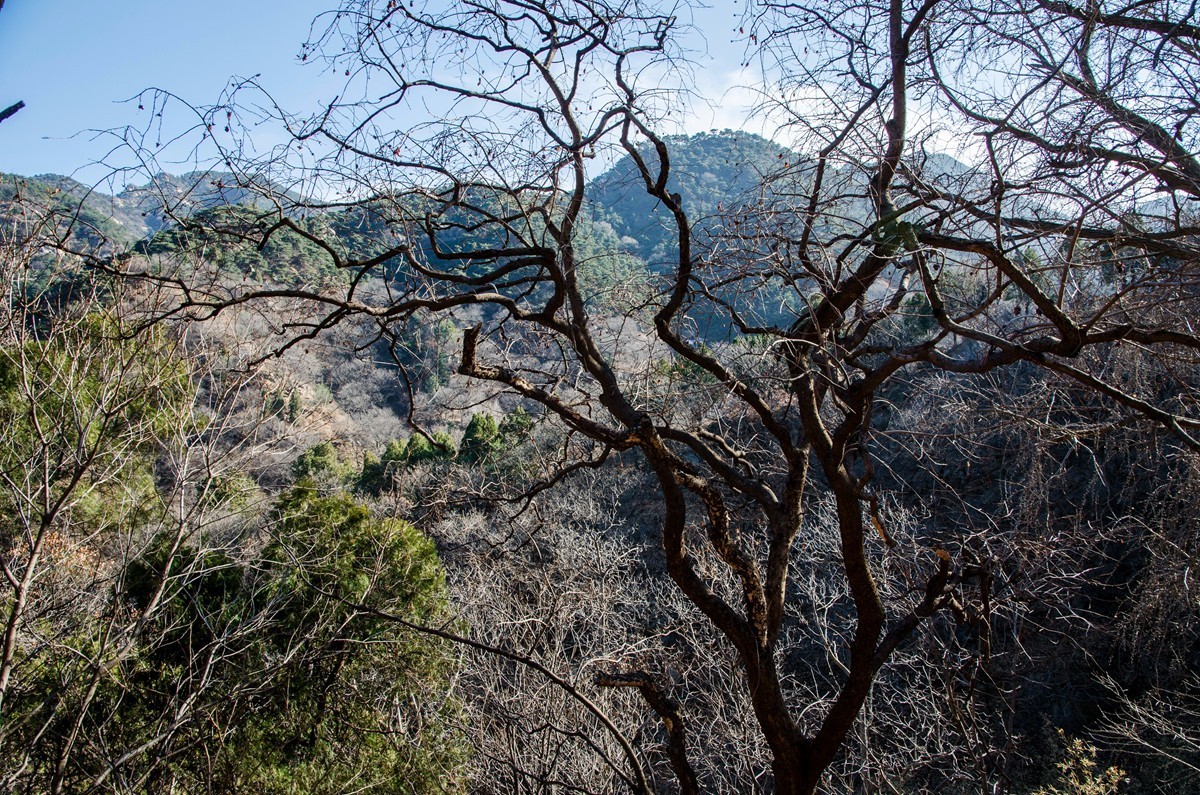泰山玉泉寺游拍（四）