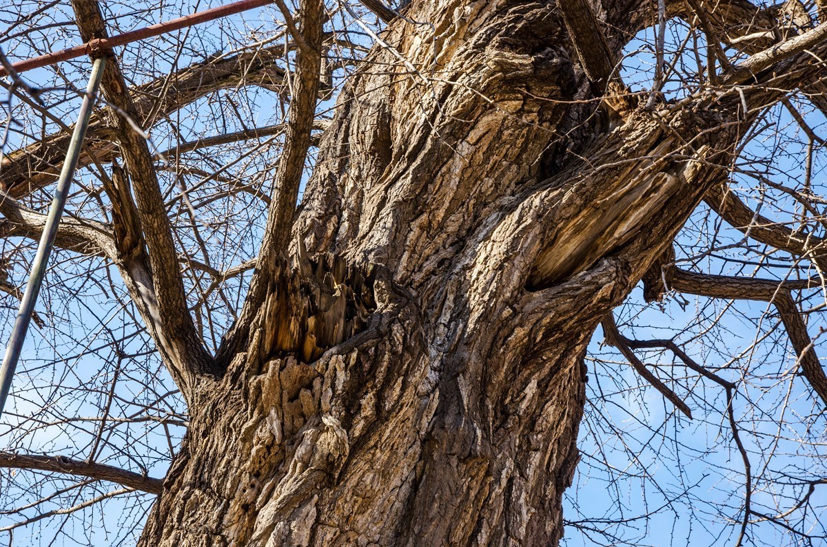 泰山玉泉寺游拍（四）