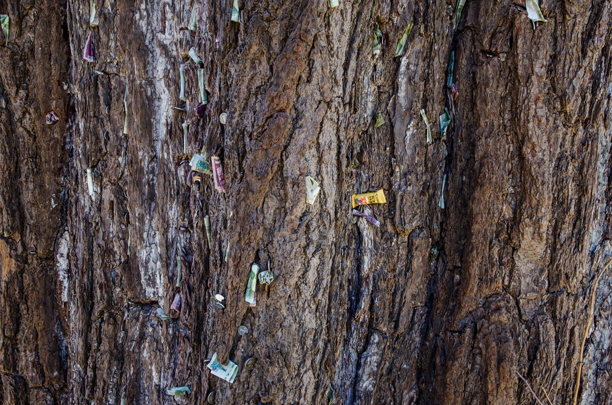 泰山玉泉寺游拍（四）