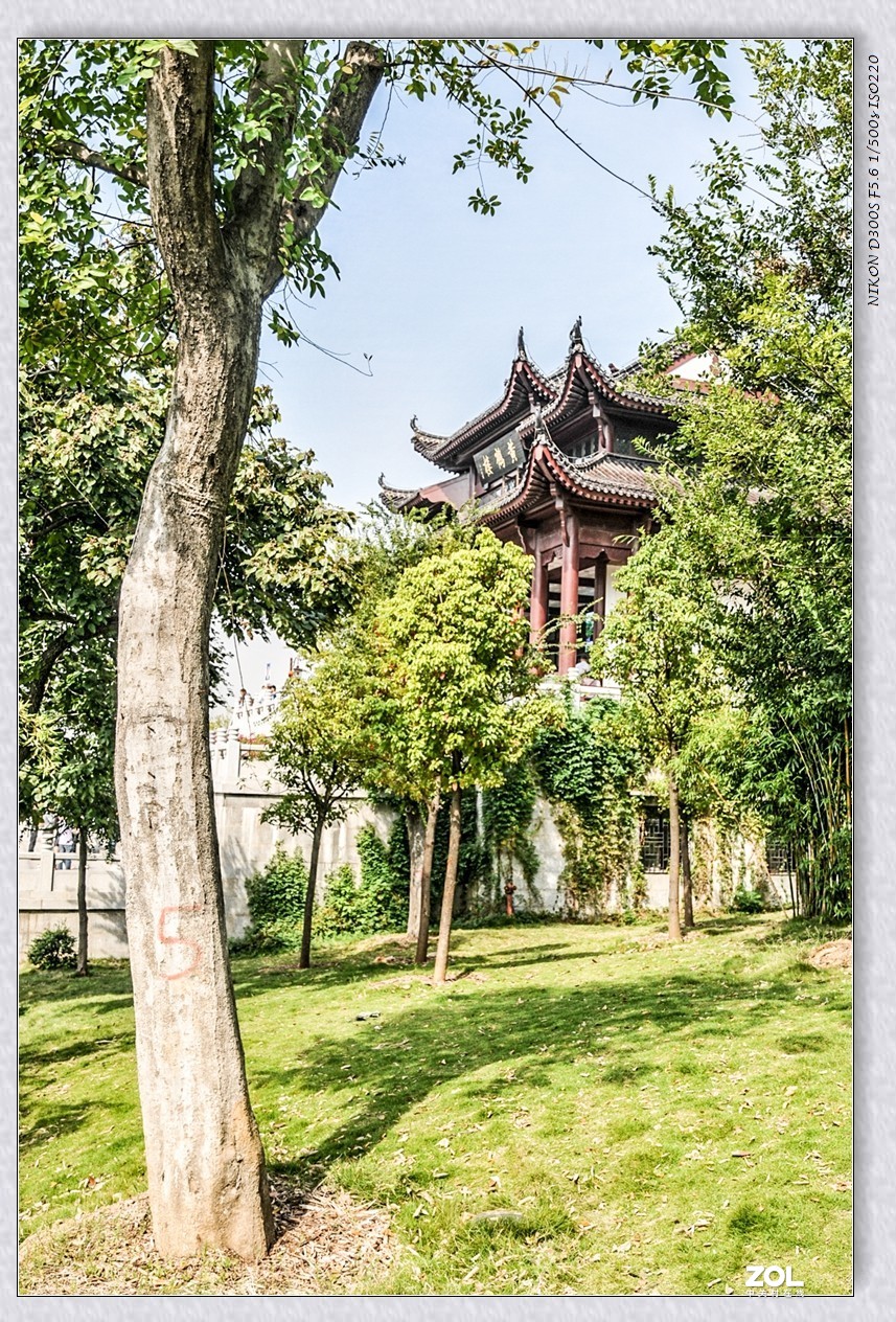 致敬英雄之城武汉记忆之蛇山公园