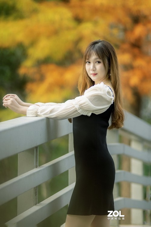 秋叶艳于二月花