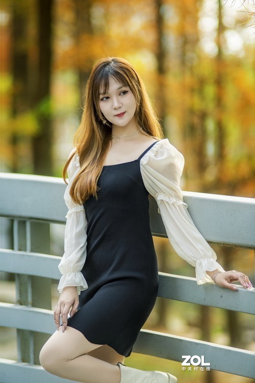 秋叶艳于二月花