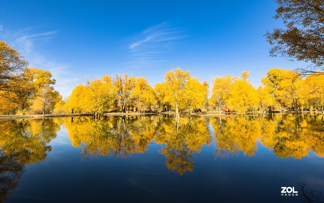 内蒙古阿拉善金塔胡杨林｛二）