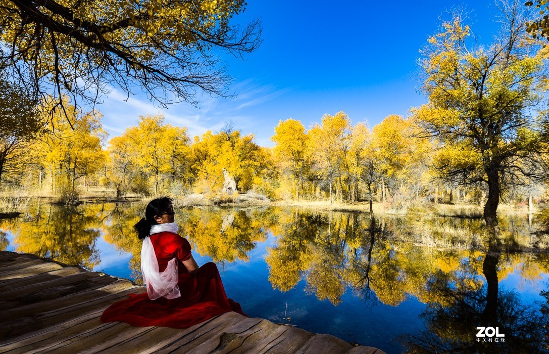 内蒙古阿拉善金塔胡杨林｛二）