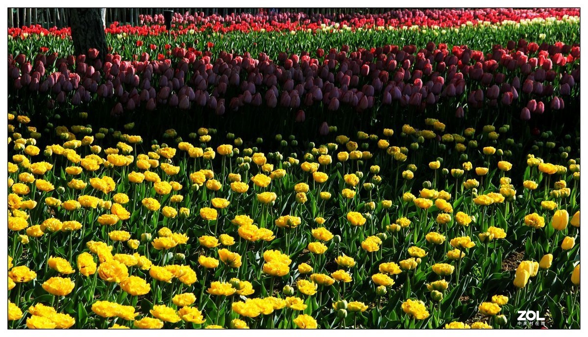 碧绿绸缎上的五彩图案