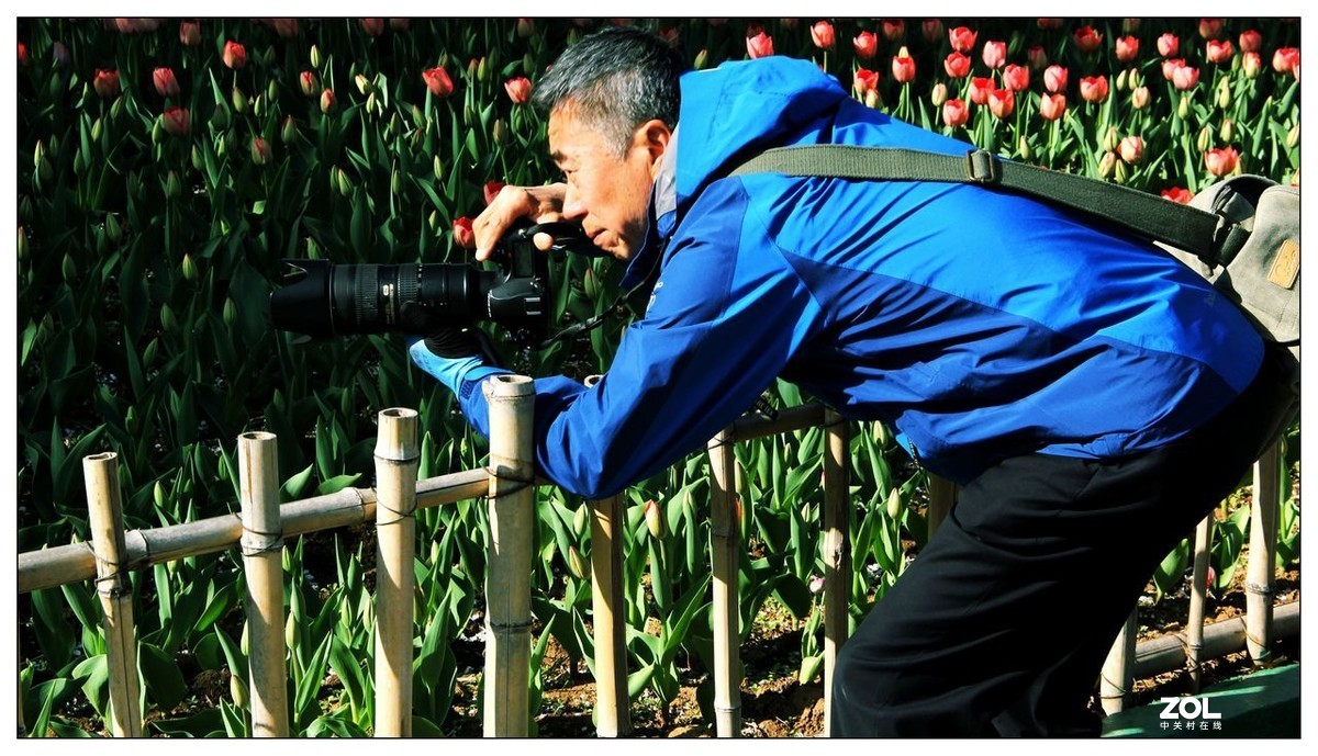 碧绿绸缎上的五彩图案