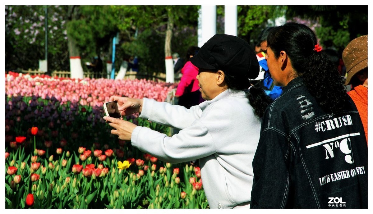 碧绿绸缎上的五彩图案