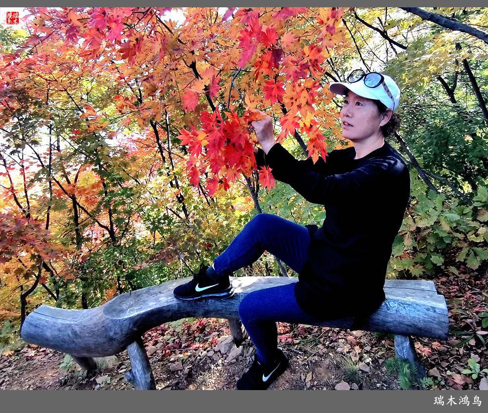 【秋游本溪】9.秋然龙道沟