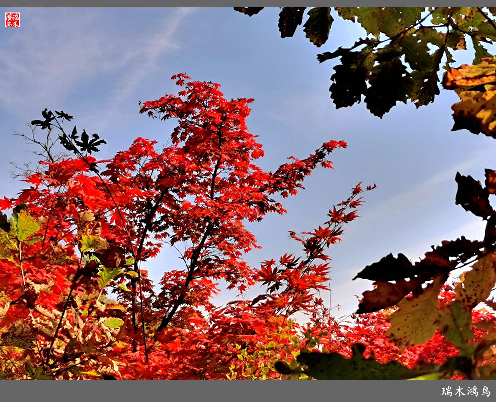 【秋游本溪】9.秋然龙道沟