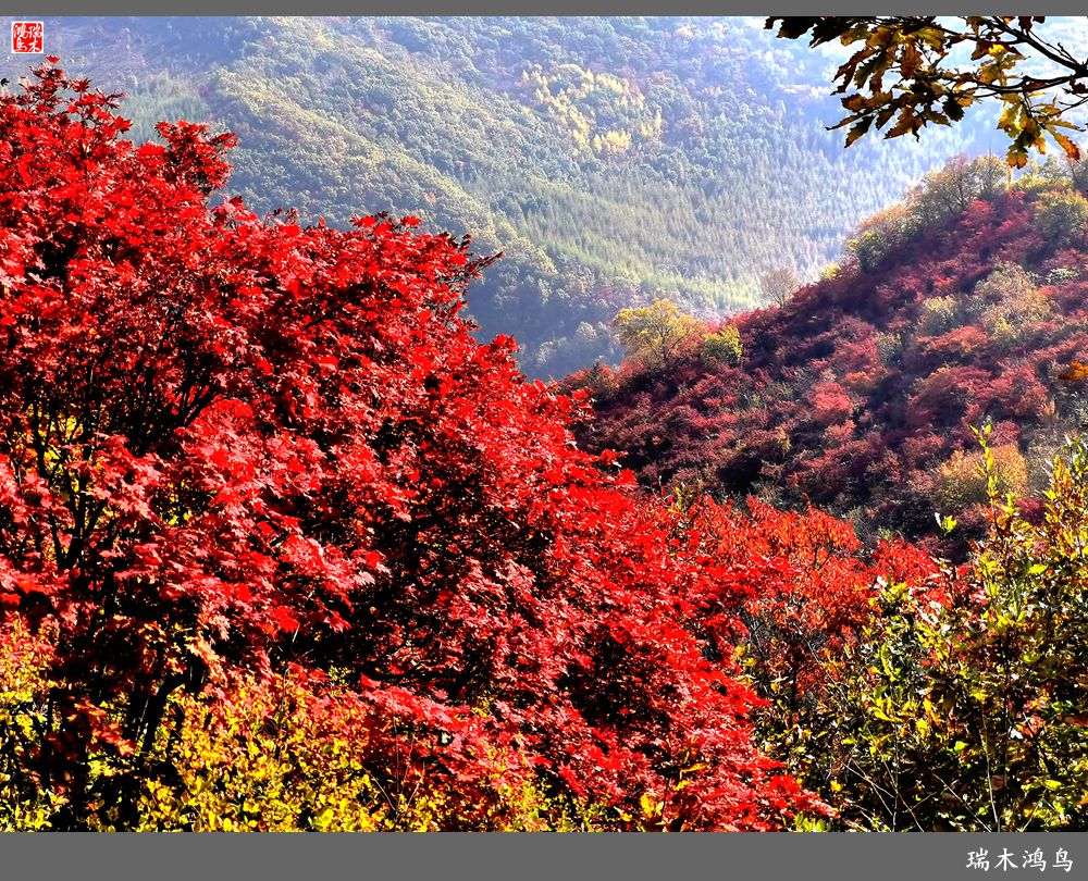 【秋游本溪】9.秋然龙道沟