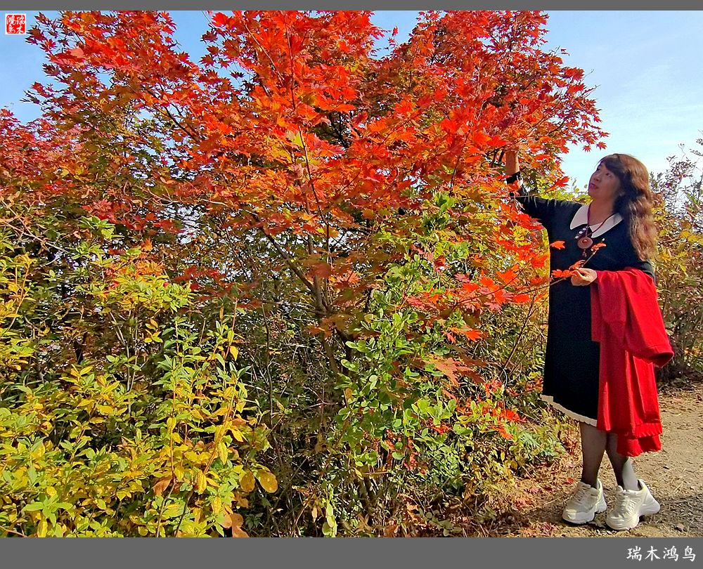 【秋游本溪】9.秋然龙道沟