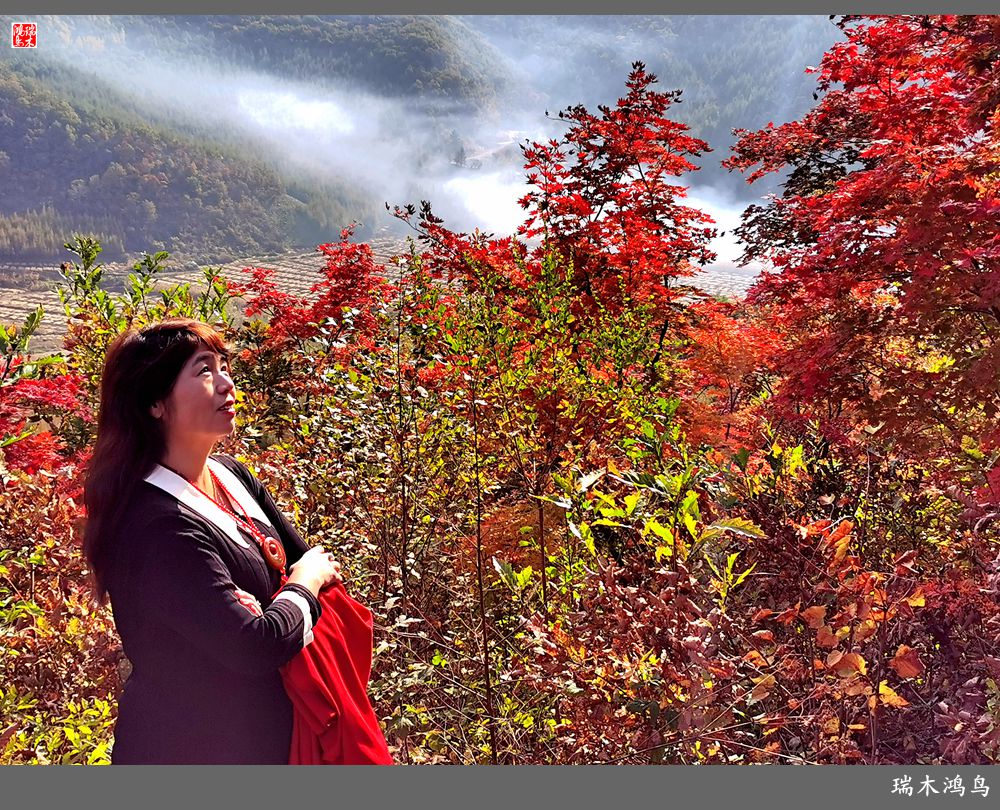 【秋游本溪】9.秋然龙道沟