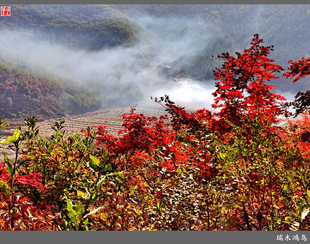 【秋游本溪】9.秋然龙道沟