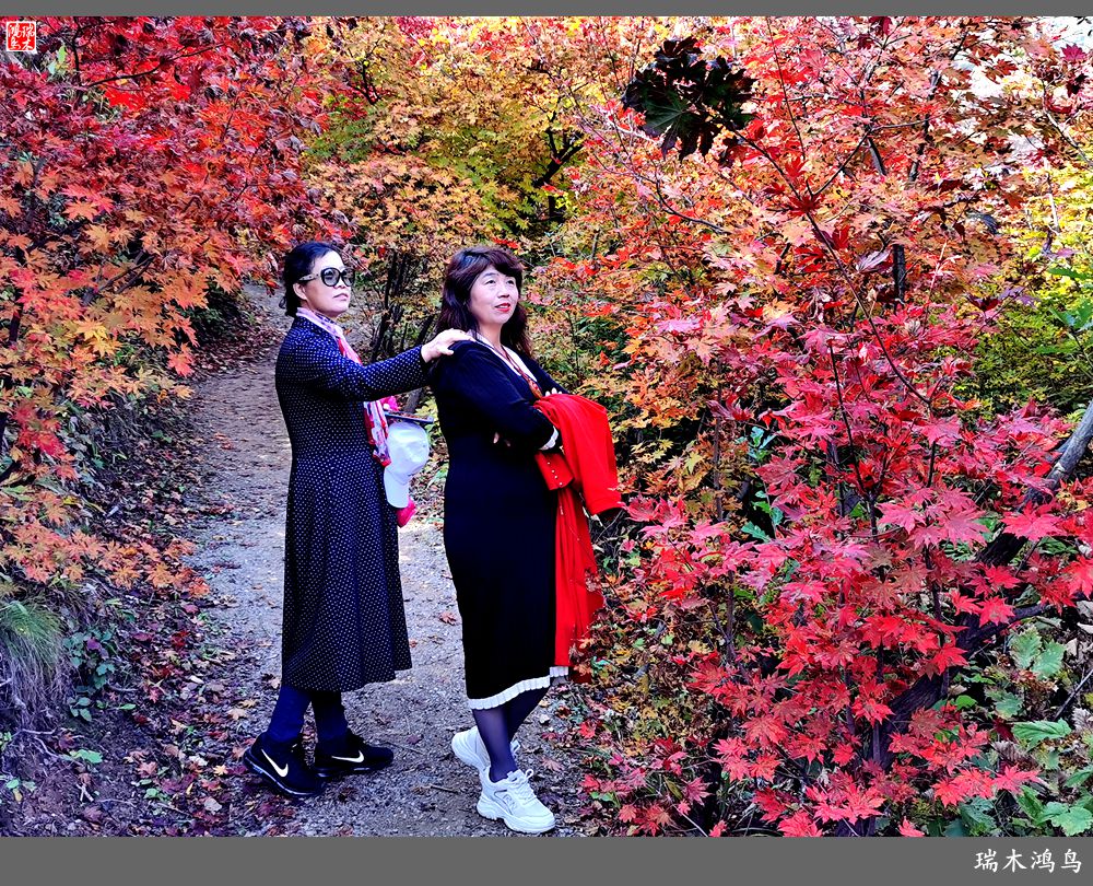 【秋游本溪】9.秋然龙道沟