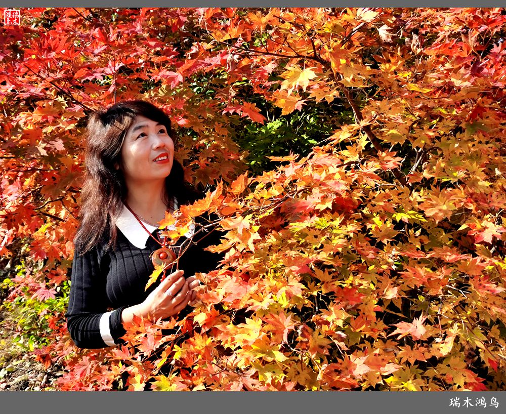 【秋游本溪】9.秋然龙道沟