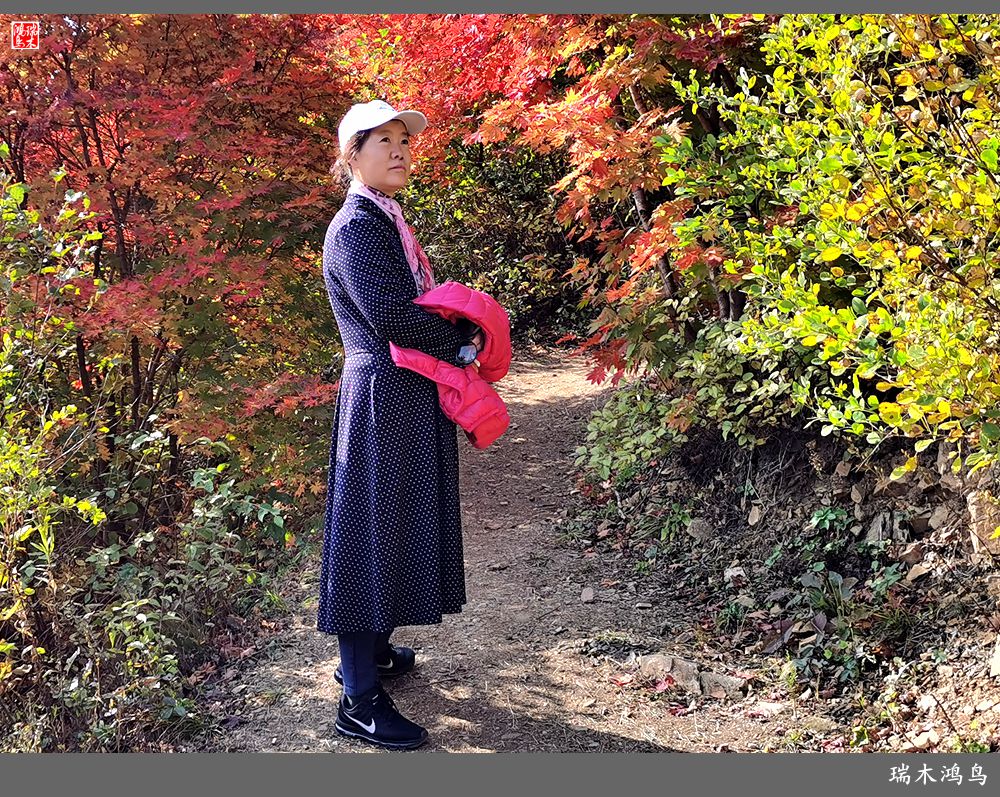 【秋游本溪】9.秋然龙道沟