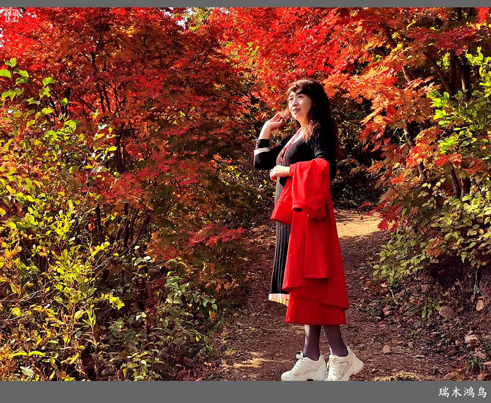 【秋游本溪】9.秋然龙道沟