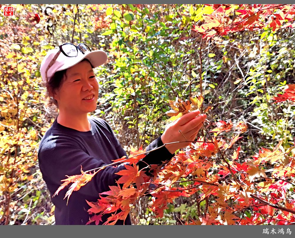 【秋游本溪】9.秋然龙道沟