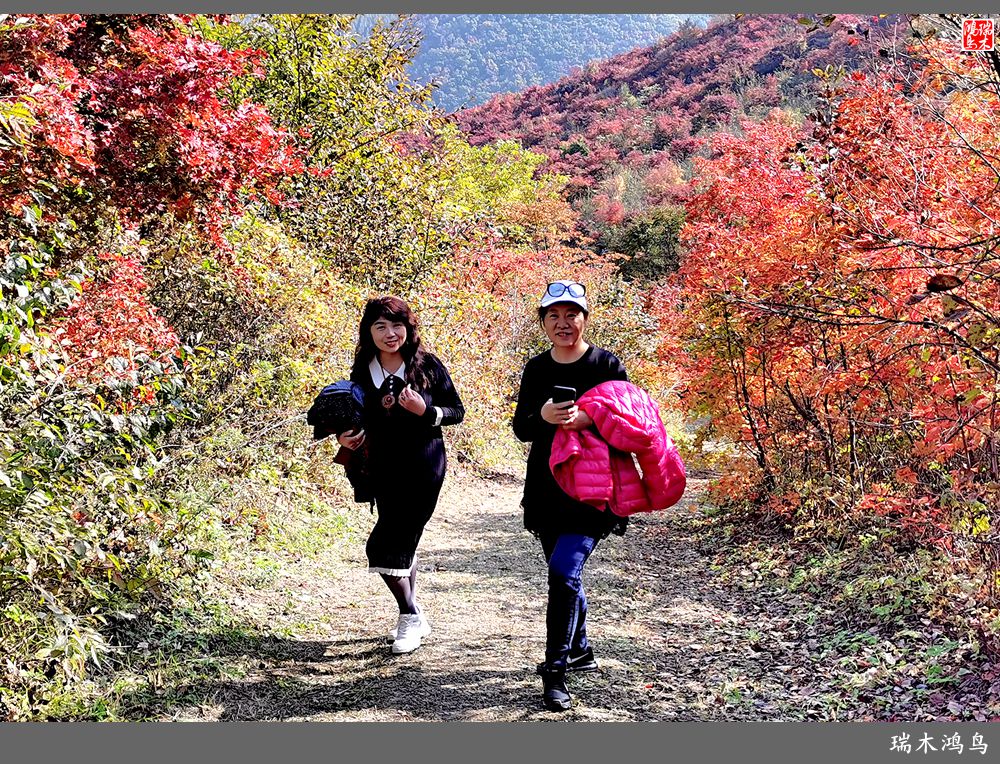 【秋游本溪】9.秋然龙道沟