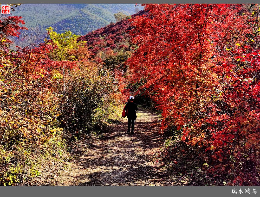 【秋游本溪】9.秋然龙道沟