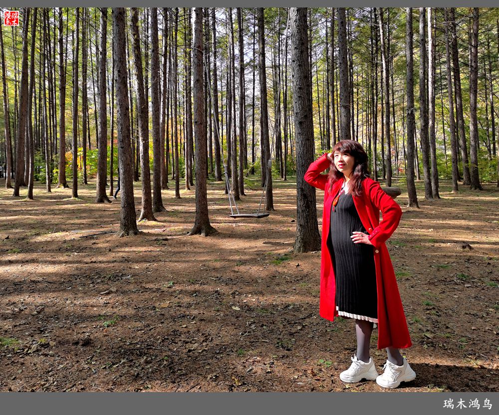 【秋游本溪】9.秋然龙道沟