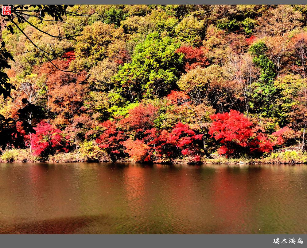 【秋游本溪】9.秋然龙道沟