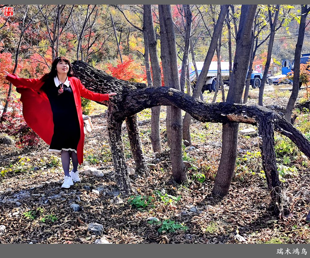 【秋游本溪】9.秋然龙道沟