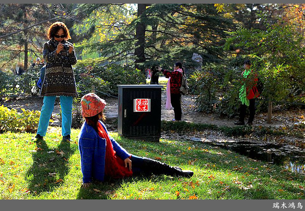 【追寻醉美秋色】62.秋日的憧憬，红叶情未了