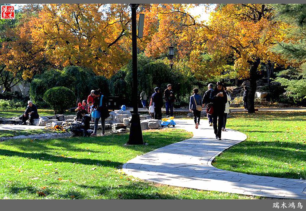 【追寻醉美秋色】62.秋日的憧憬，红叶情未了