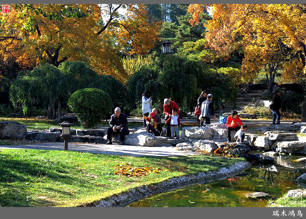 【追寻醉美秋色】62.秋日的憧憬，红叶情未了