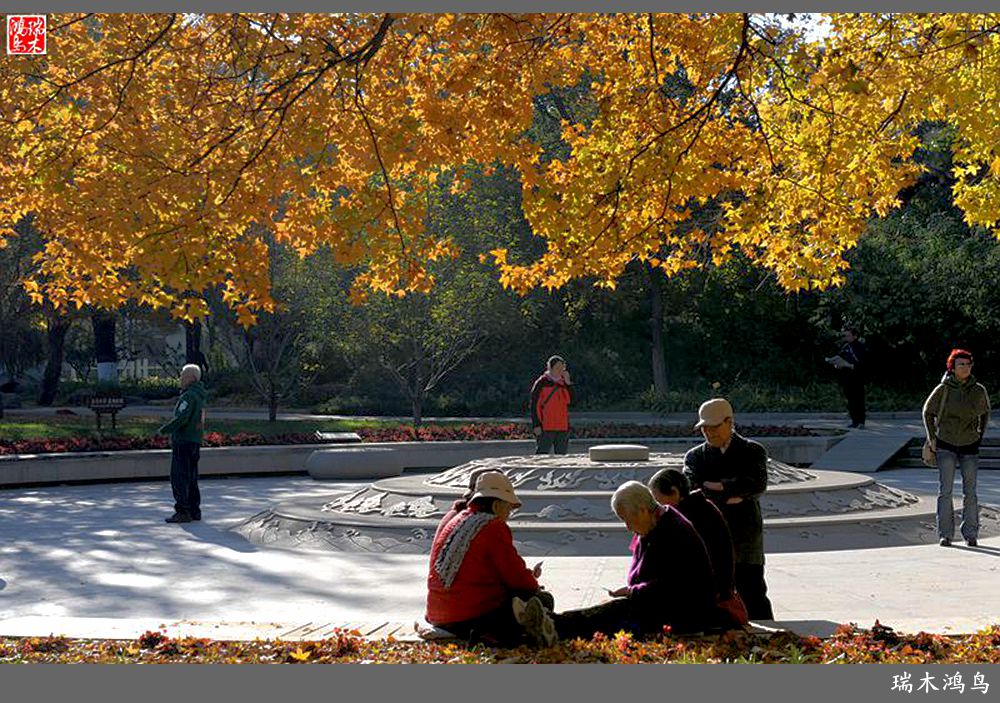 【追寻醉美秋色】62.秋日的憧憬，红叶情未了