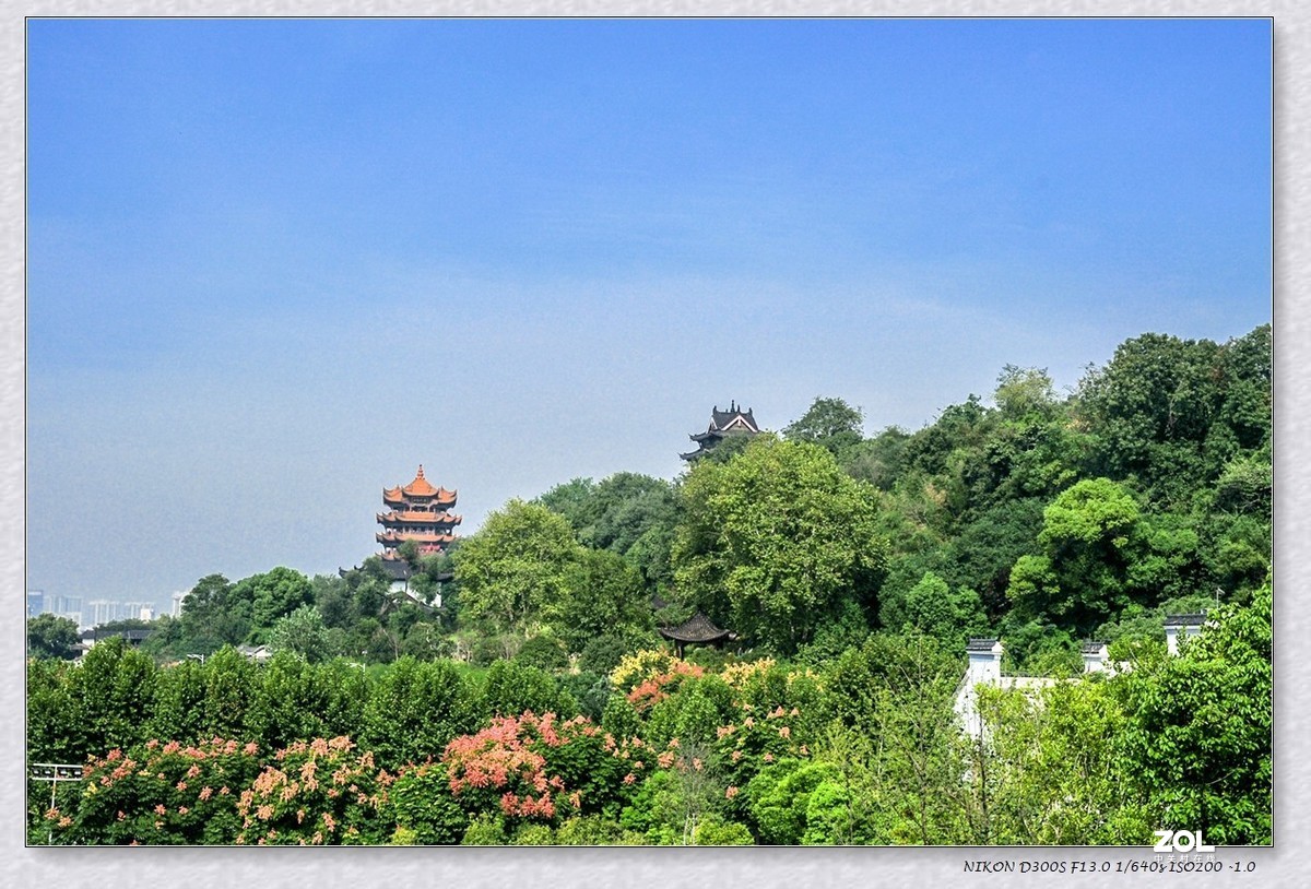 武汉蛇山风景区图片