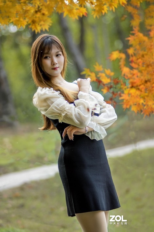 秋叶艳于二月花