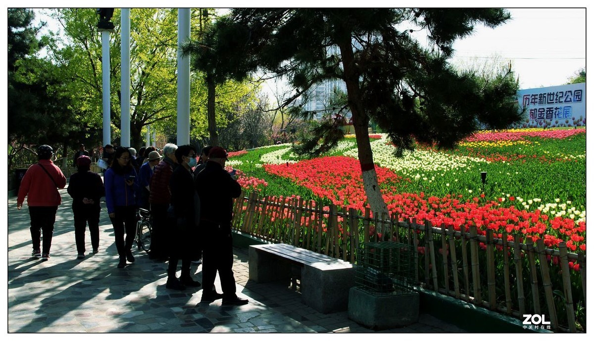 碧绿绸缎上的五彩图案