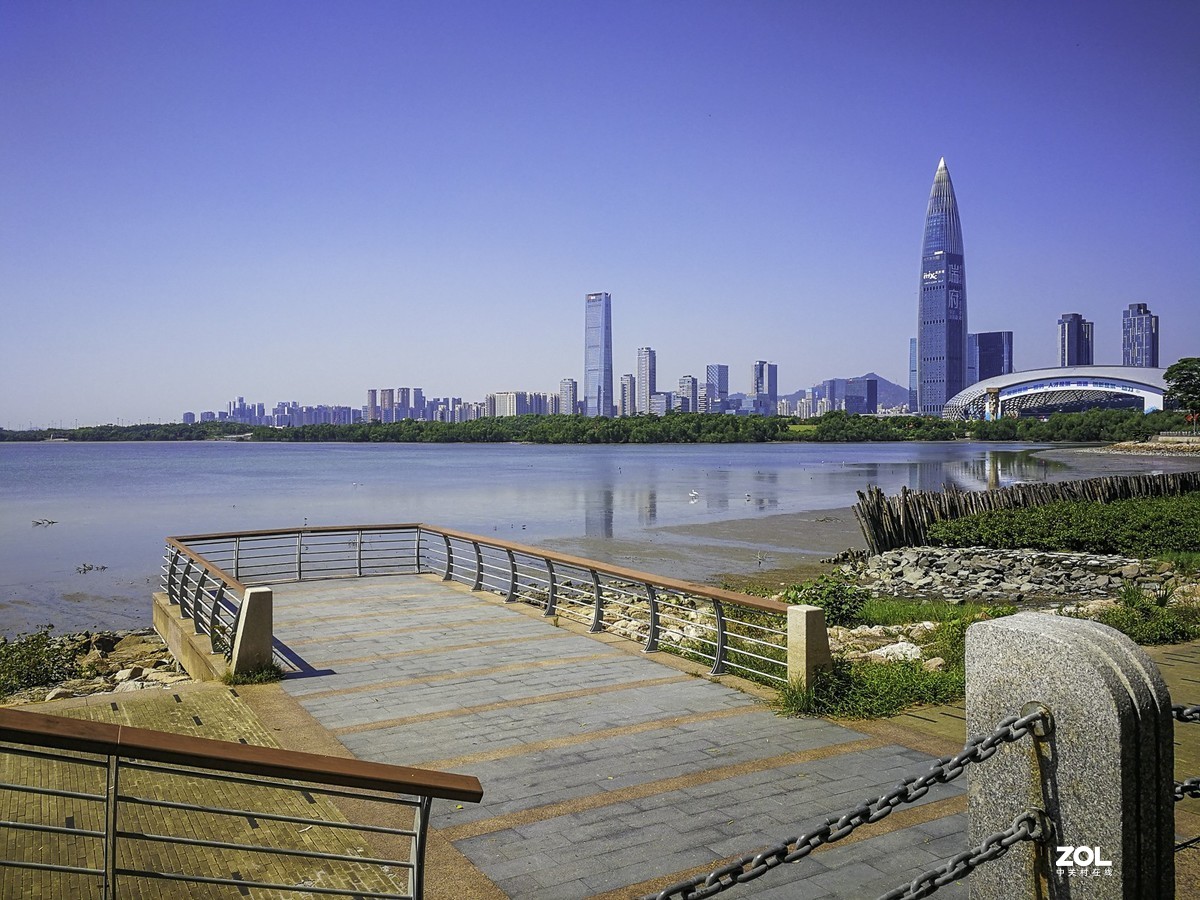 深圳湾红树林公园掠影
