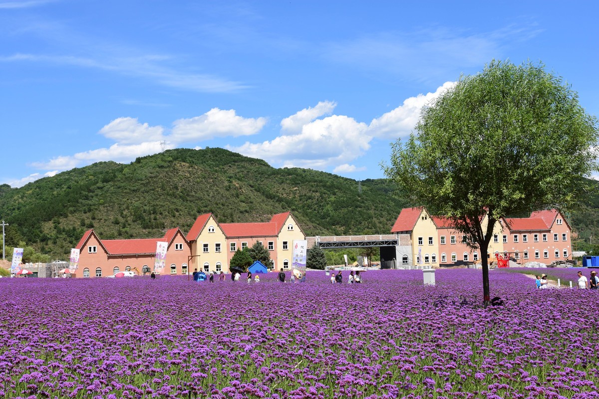 合水县花溪谷旅游景区图片