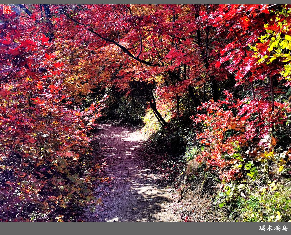 【秋游本溪】9.秋然龙道沟